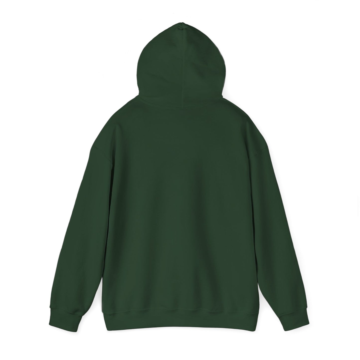 'Earn It Every Day' Men's Hoodie, Motivational Sweater
