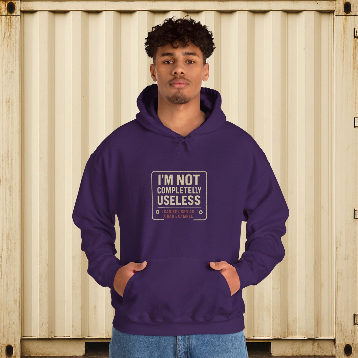 'I’m Not Completely Useless, I Can Be Used As a Bad Example' Hoodie, Funny Motivational Sweater