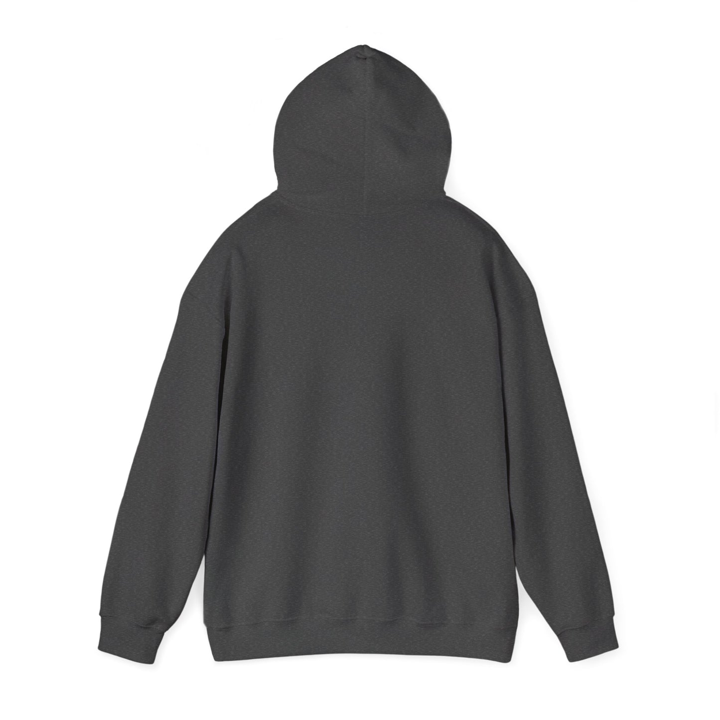 'Earn It Every Day' Men's Hoodie, Motivational Sweater