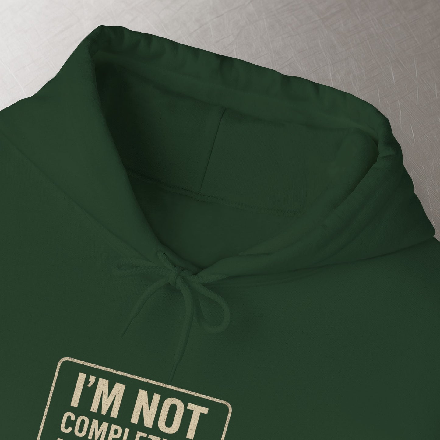 'I’m Not Completely Useless, I Can Be Used As a Bad Example' Hoodie, Funny Motivational Sweater