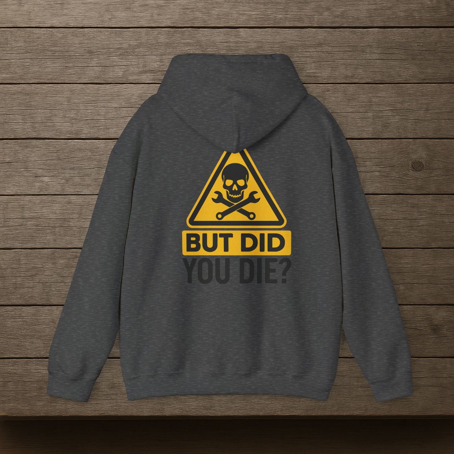 'But Did You Die' Hoodie, Motivational Sweater