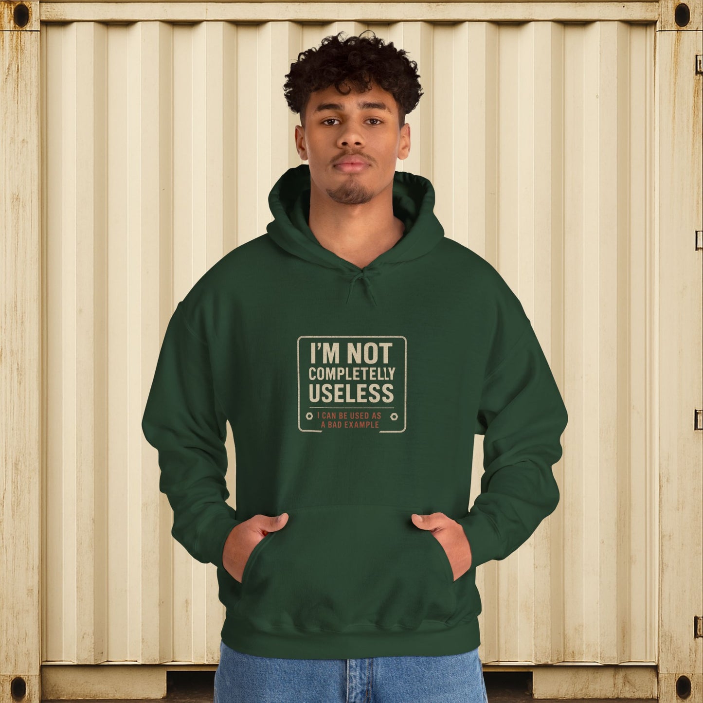 'I’m Not Completely Useless, I Can Be Used As a Bad Example' Hoodie, Funny Motivational Sweater