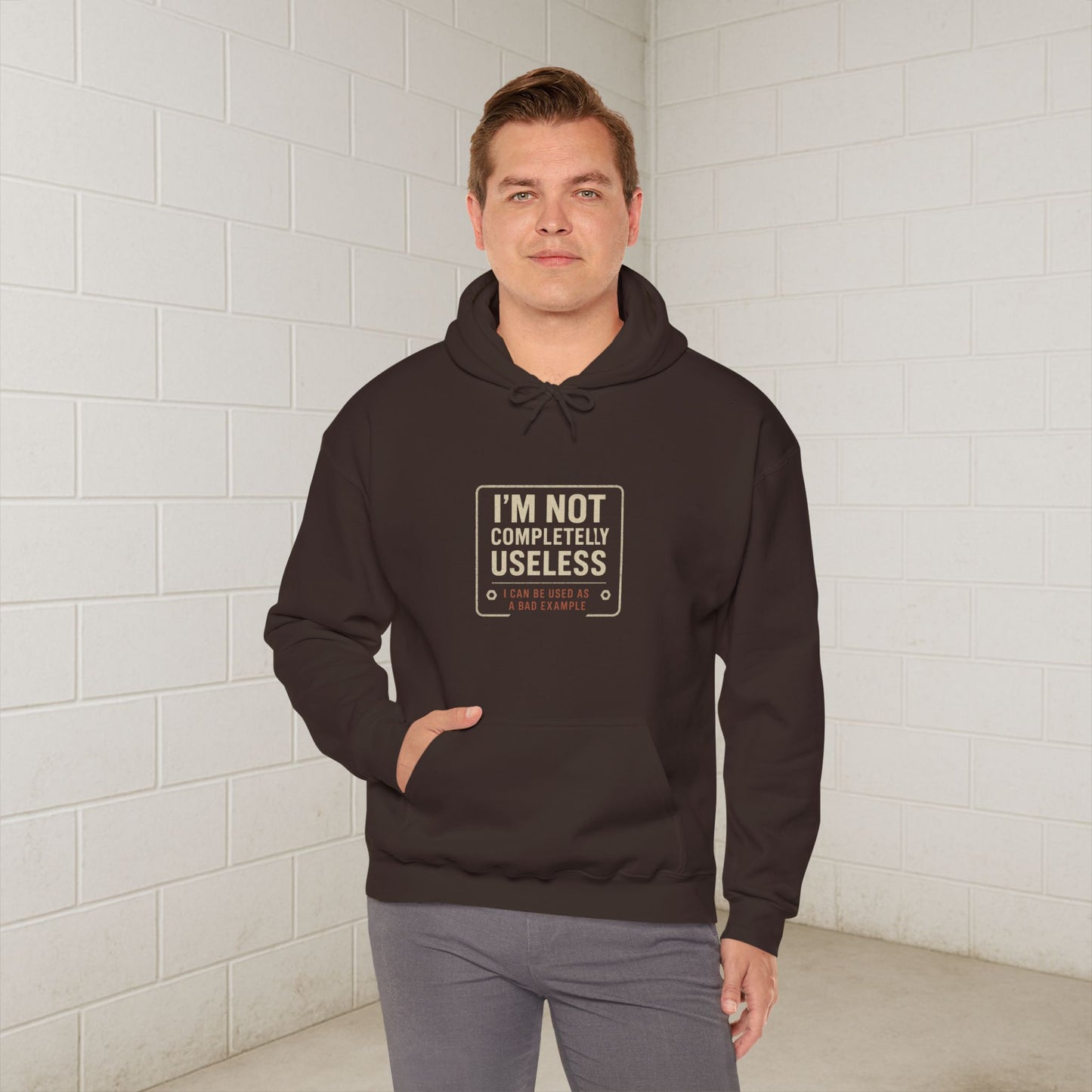 'I’m Not Completely Useless, I Can Be Used As a Bad Example' Hoodie, Funny Motivational Sweater