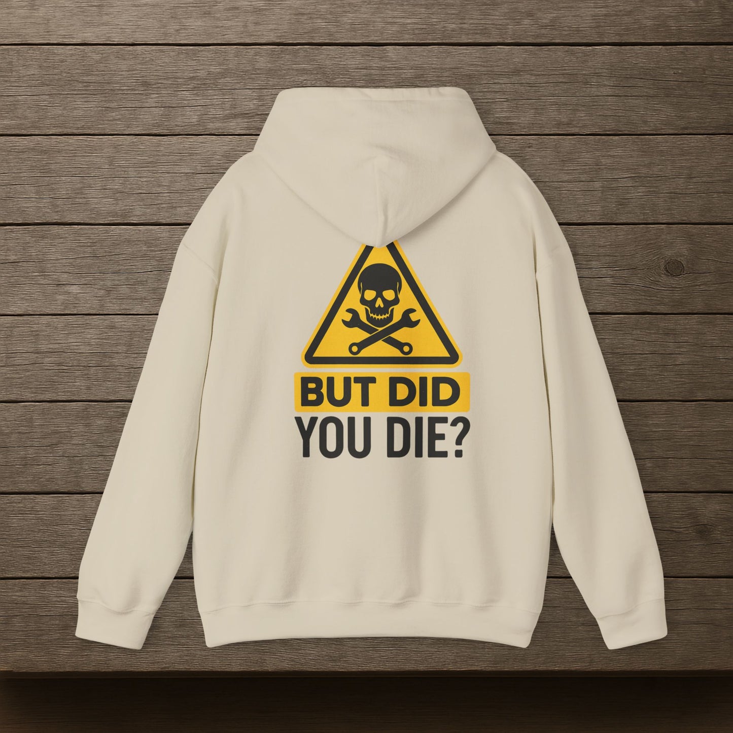 'But Did You Die' Hoodie, Motivational Sweater