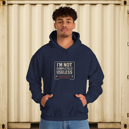 'I’m Not Completely Useless, I Can Be Used As a Bad Example' Hoodie, Funny Motivational Sweater