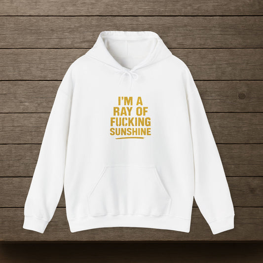 'I’m a Ray of Fucking Sunshine' Hoodie, Funny Sweater