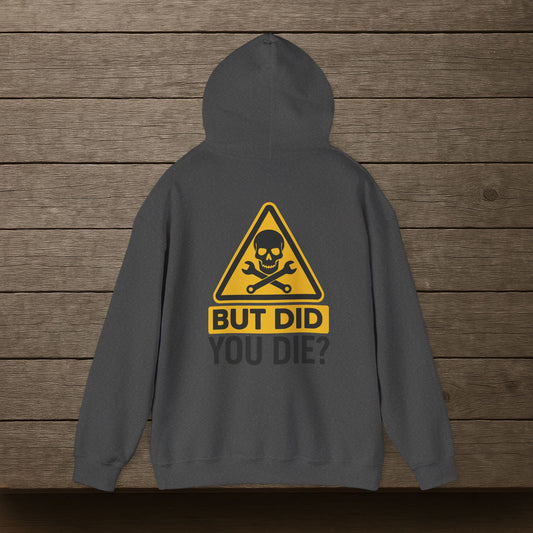 'But Did You Die' Hoodie, Motivational Sweater