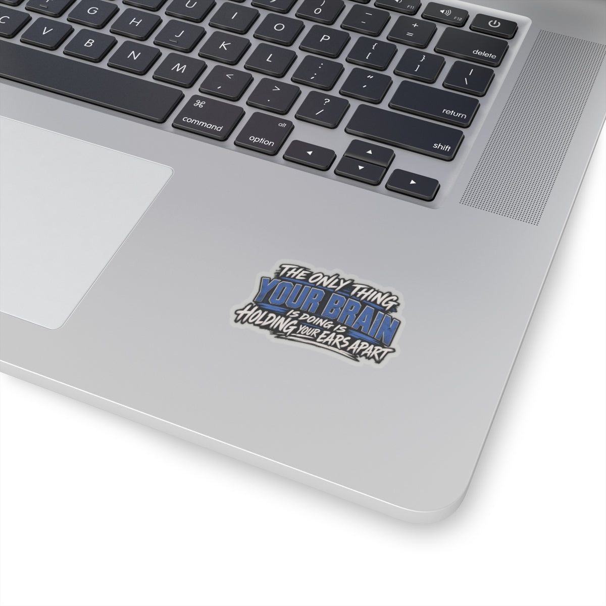 “Holding Your Ears Apart” Sticker, Funny Hardhat Stickers