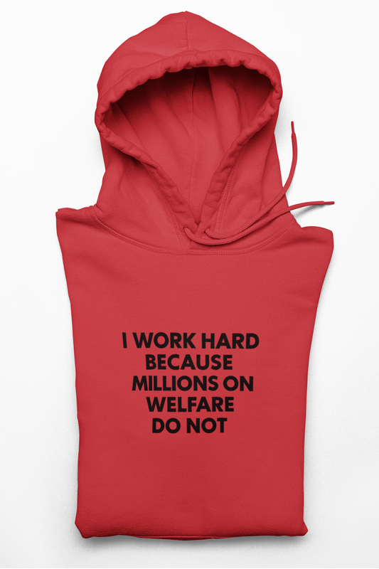 'I Work Hard Because Millions on Welfare Do Not' Hoodie, Funny Sweater